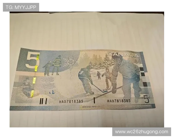 2026年世界杯门票购买常见问题解答与注意事项