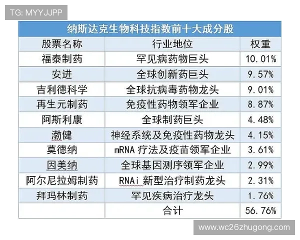 如何利用数据分析优化世预赛买球策略实现科学投注提升胜率